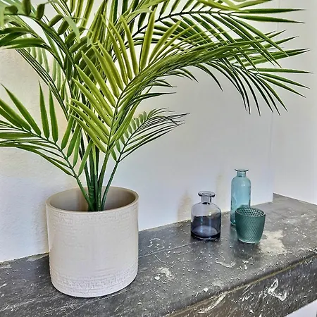 Wonderhost, Les Volumes De Margot En Hypercentre Apartment Pau Exterior photo