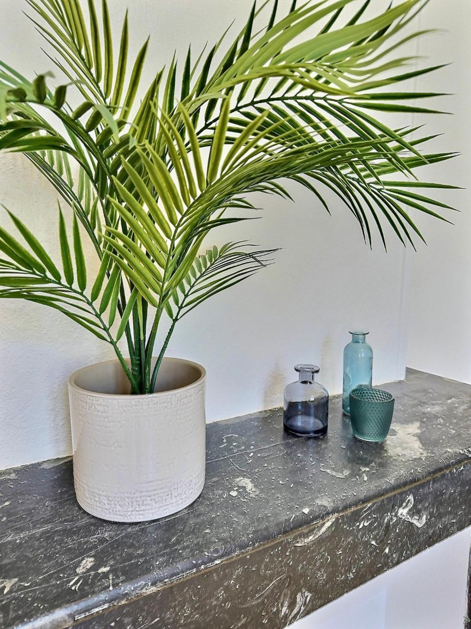 Wonderhost, Les Volumes De Margot En Hypercentre *